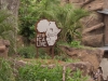 africa_sign_web